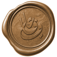 ALy Wafa